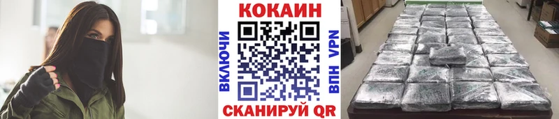 COCAIN FishScale  Купить закладки  Сусуман 