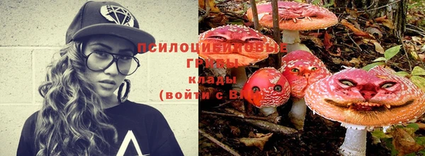 кокаин колумбия Белокуриха
