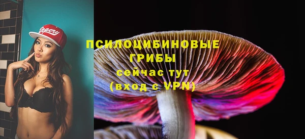 MDMA Беломорск